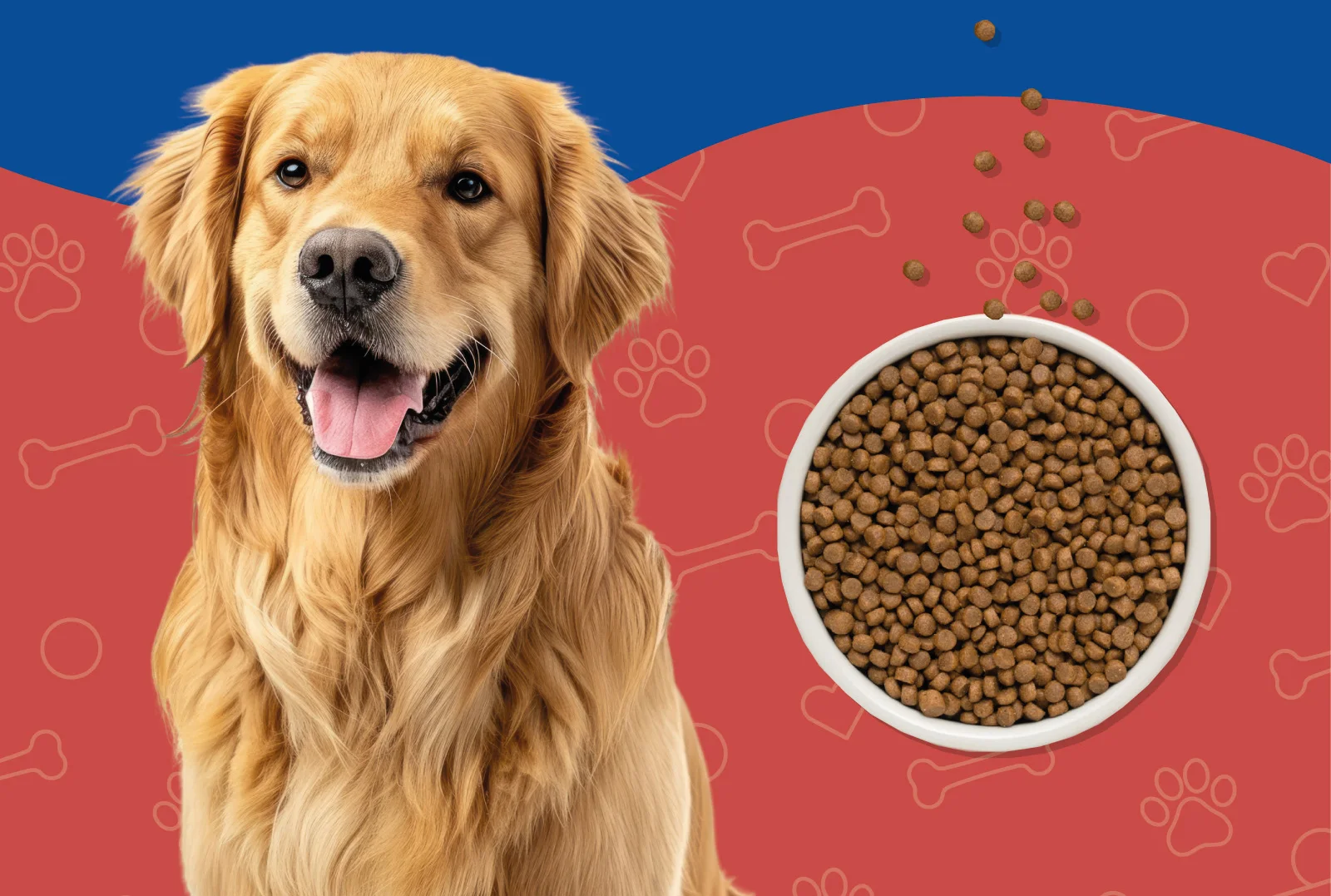 Golden retriever with a bowl of PawPal food